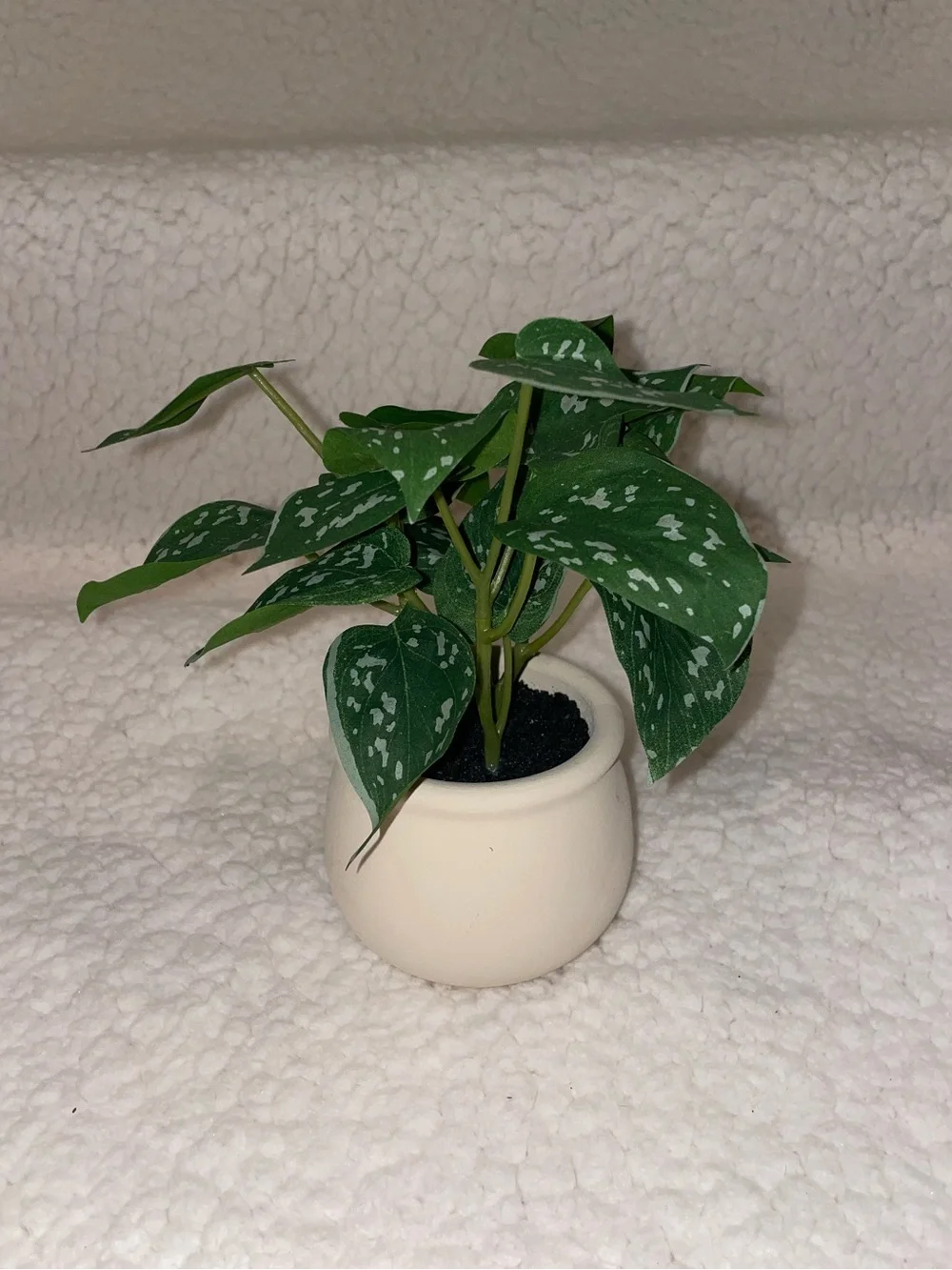 Target Faux Green Polka-Dot Potted Plant